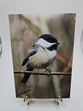 5x7 Chickadee Bird Oil Painting Photography Print‎